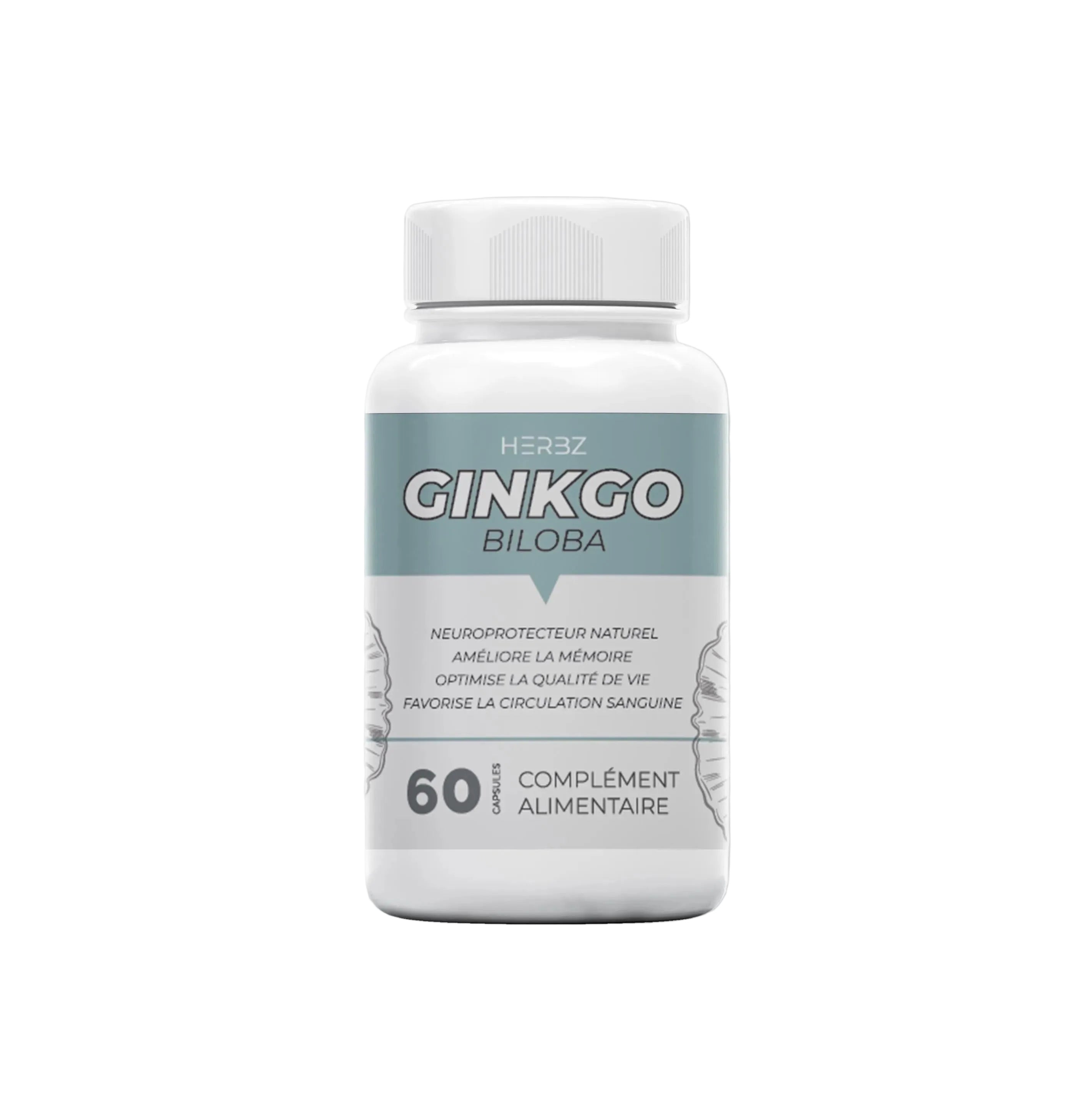 GINKGO BILOBA تحسين وظائف الدماغ وتعزيز الذاكرة