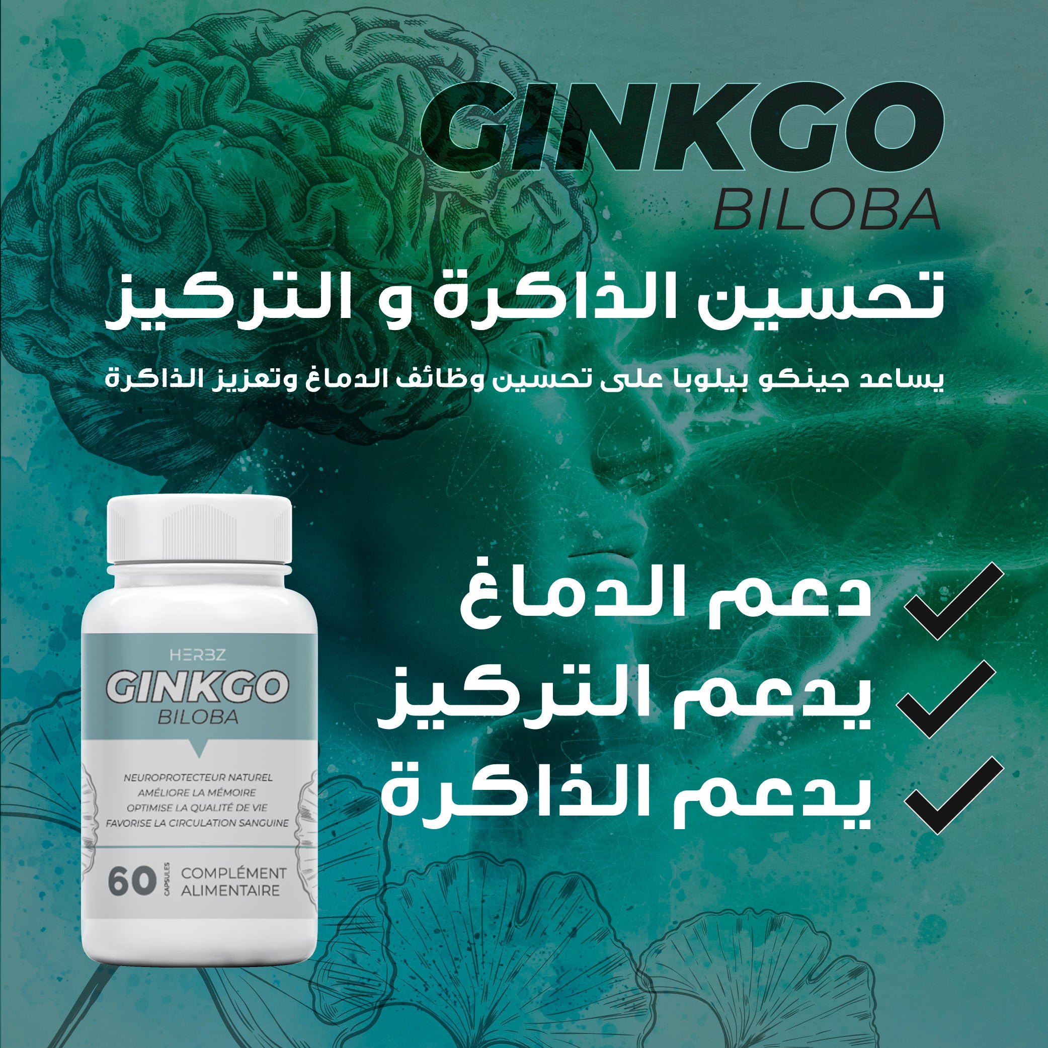 GINKGO BILOBA تحسين وظائف الدماغ وتعزيز الذاكرة