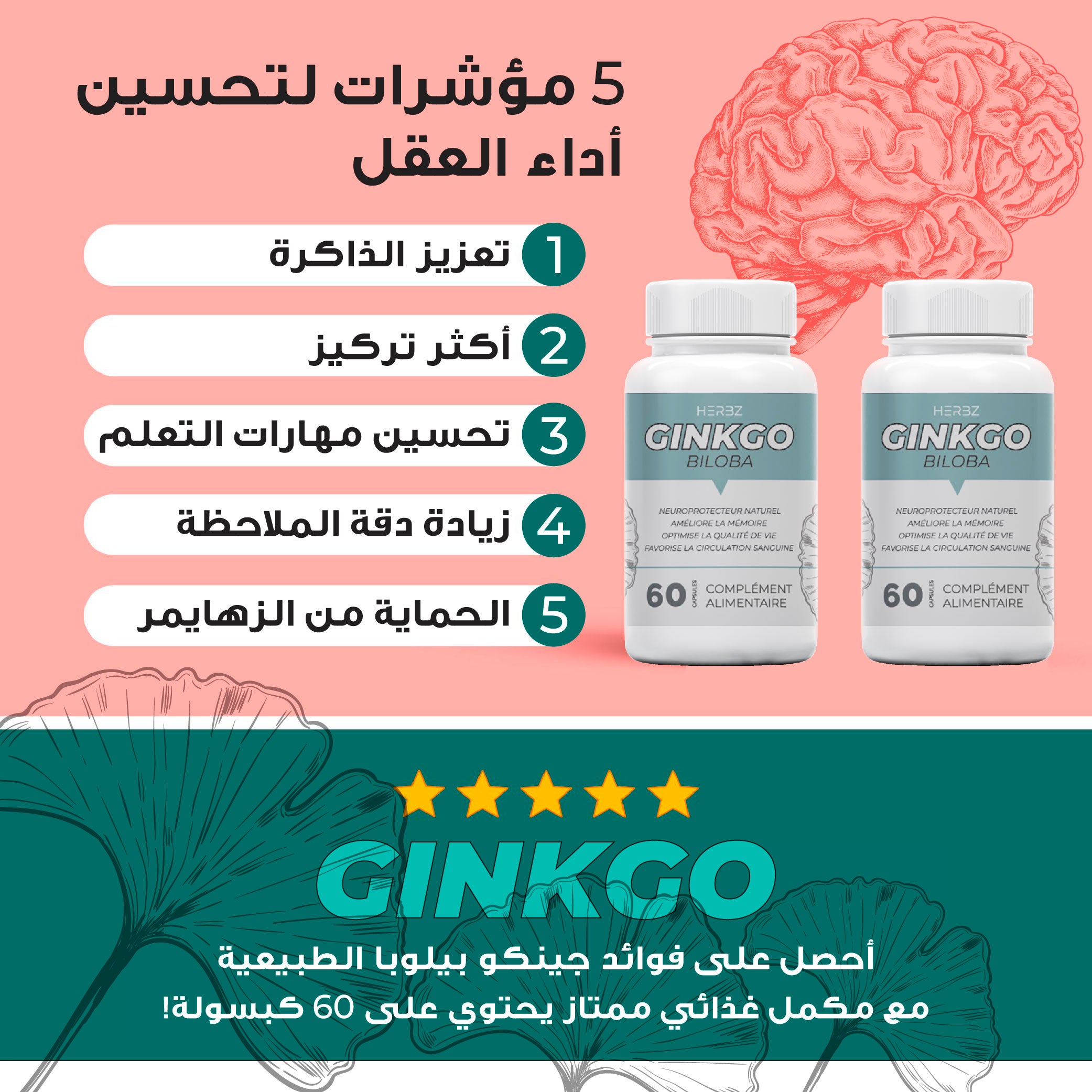 GINKGO BILOBA تحسين وظائف الدماغ وتعزيز الذاكرة